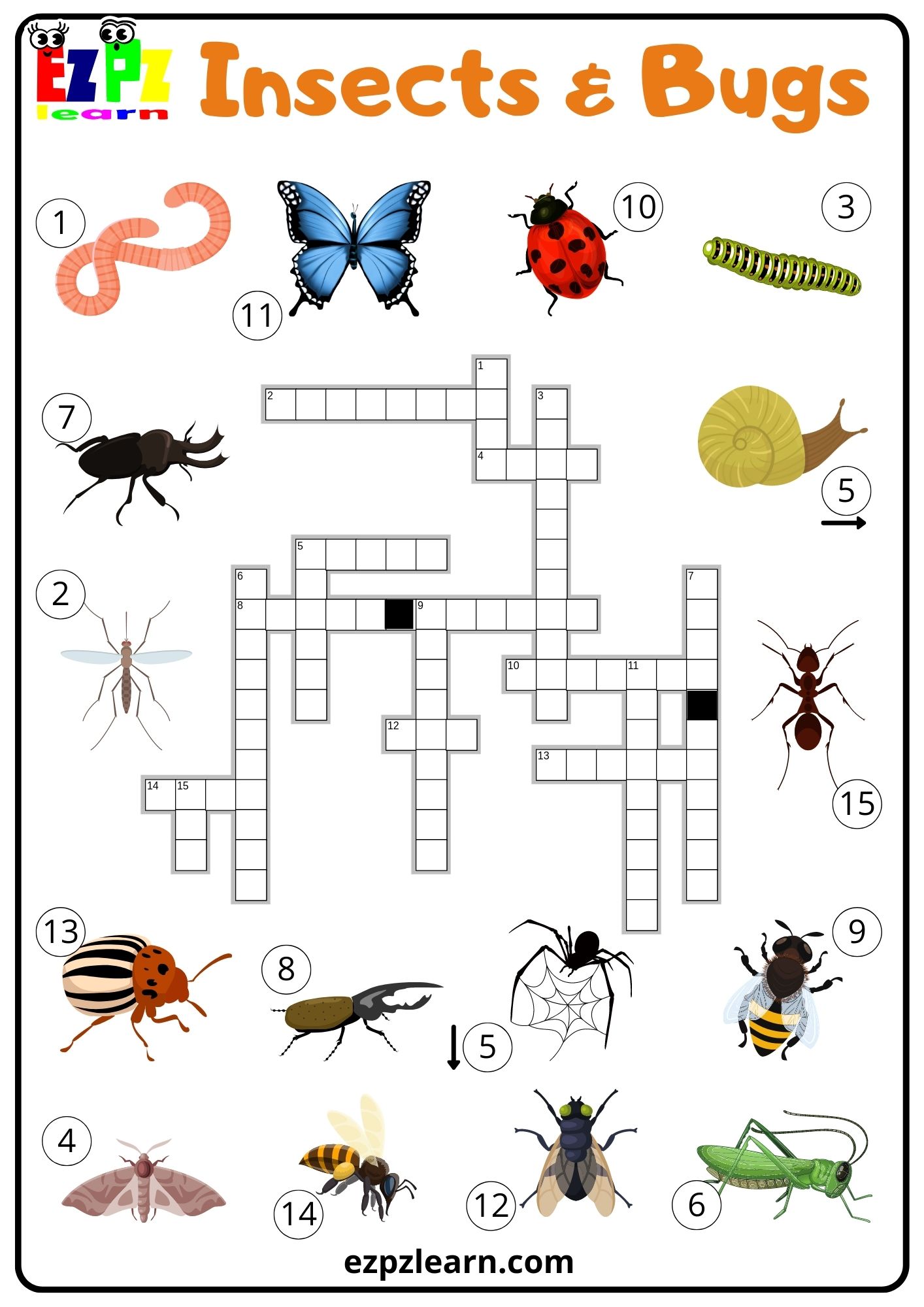 Insects and Bugs Crossword